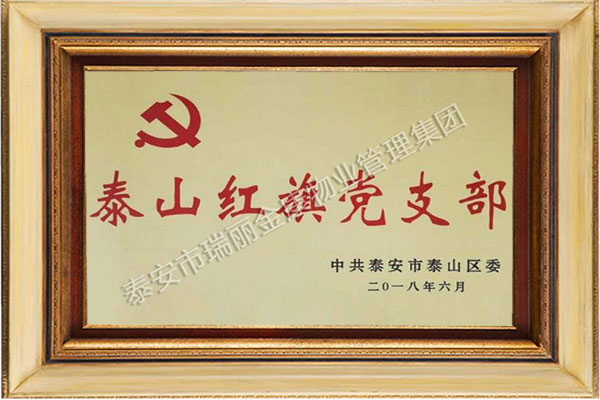 泰山红旗党支部