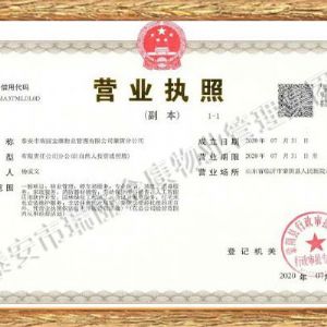 分公司营业执照